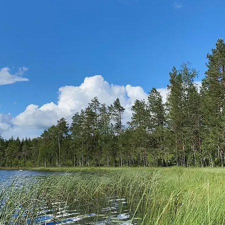 Forestime Apartman Lyytilanmaki